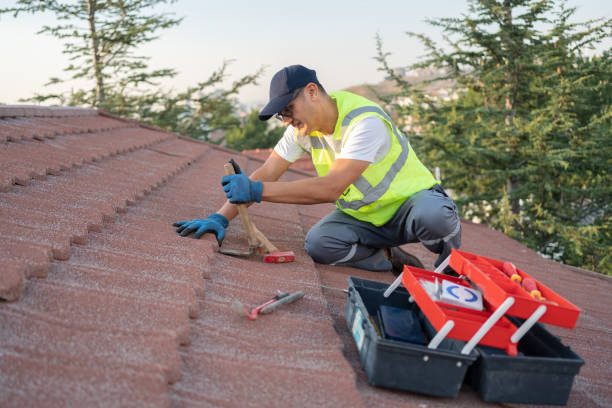 Best Roof Gutter Cleaning  in Redstone Arsen, AL